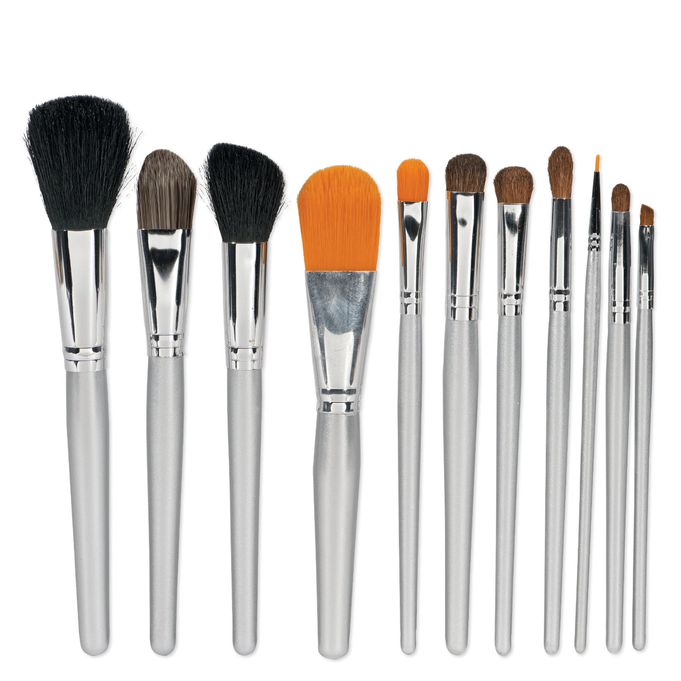 Makeup Brush Set with Case - 11 pc.