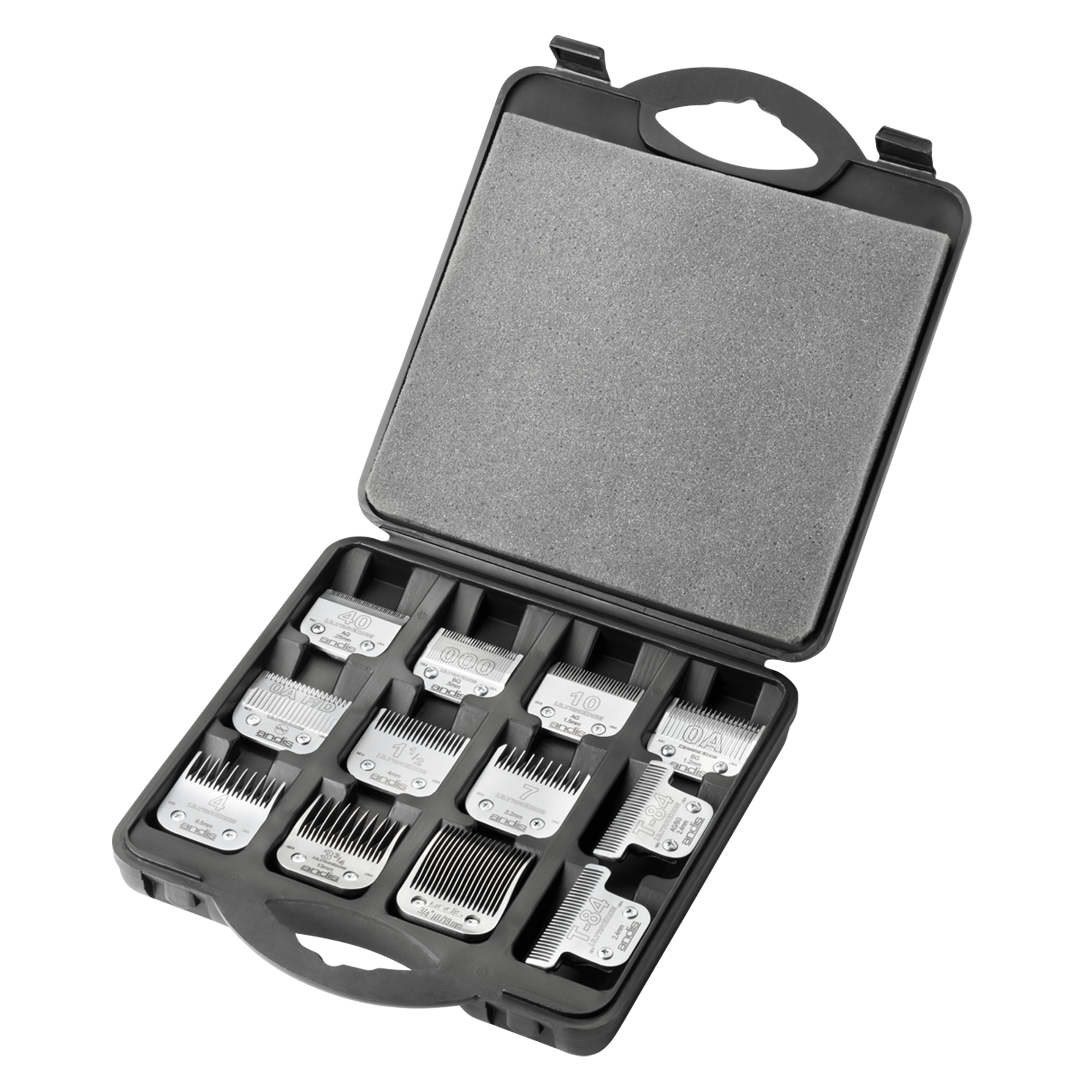 Blade Carrying Case