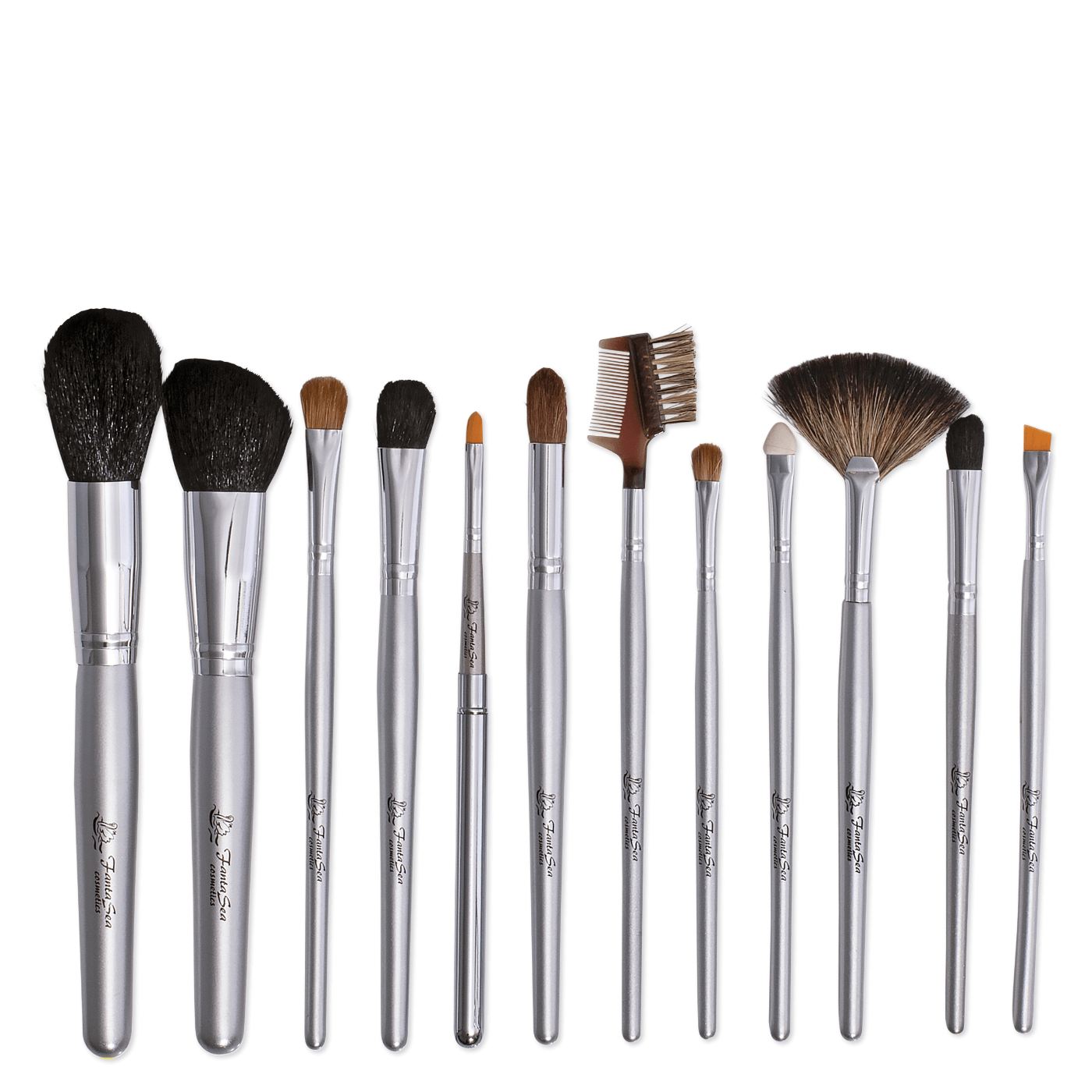 Makeup Brush Set with Case- 12 pc.
