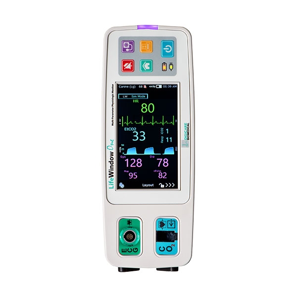 Lifewindow One LW32 m EKG CO2 NIBP & temp /stk