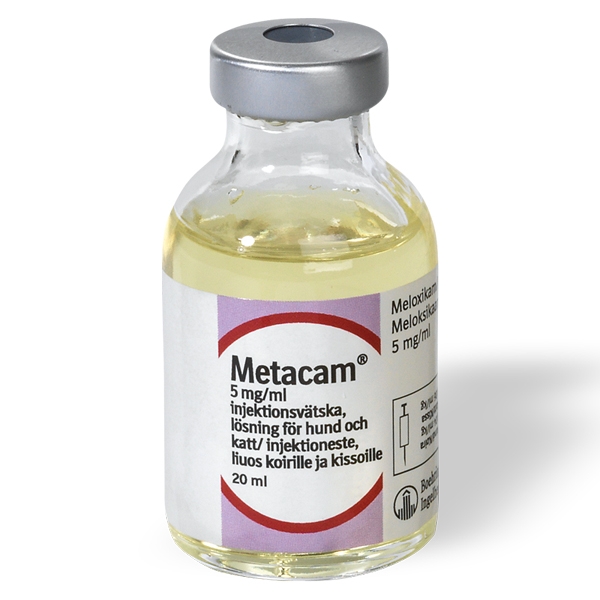 Metacam® för hund & katt injektionsvätska 5 mg/ml 20 ml
