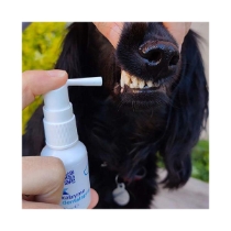 Kalzyme Dental Spray 30 ml /st