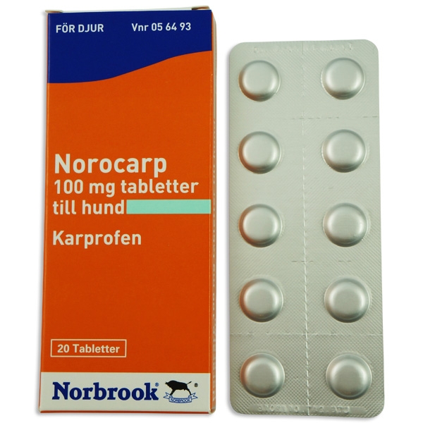 Norocarp 100 mg 20 st