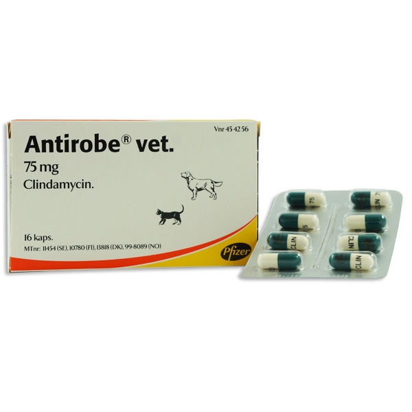 Antirobe® vet. 75 mg 16 styck