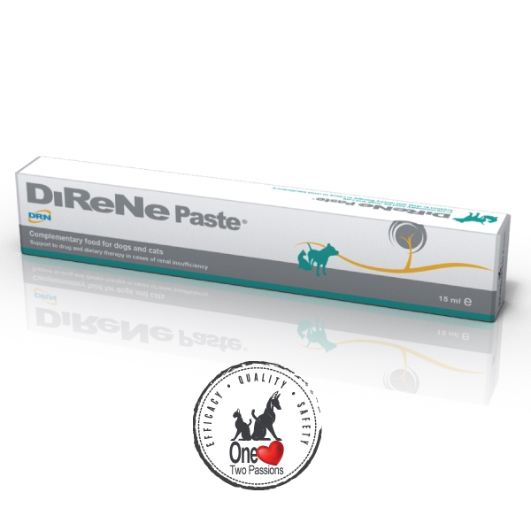 DiReNe pasta 15 ml /st