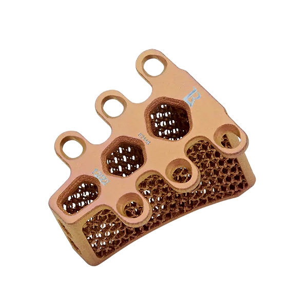 TTA Rapid cage 12/22 Titanium