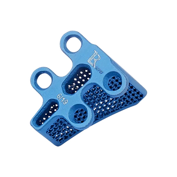 TTA Rapid cage 6/19 Titanium