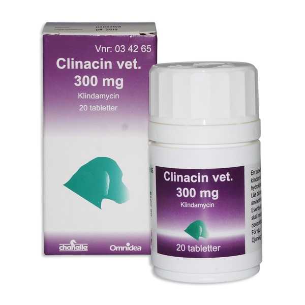 Clinacin vet. 300 mg 20 tabletter