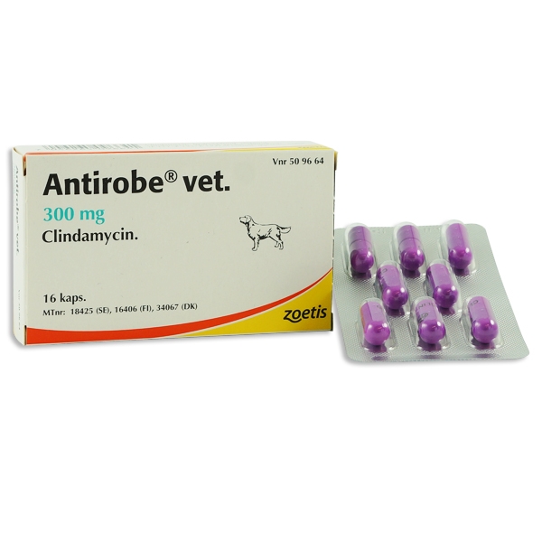 Antirobe® vet. 300 mg 16 styck