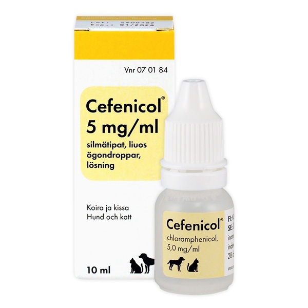 Cefenicol ögondroppar lösning 5 mg/ml 10 ml