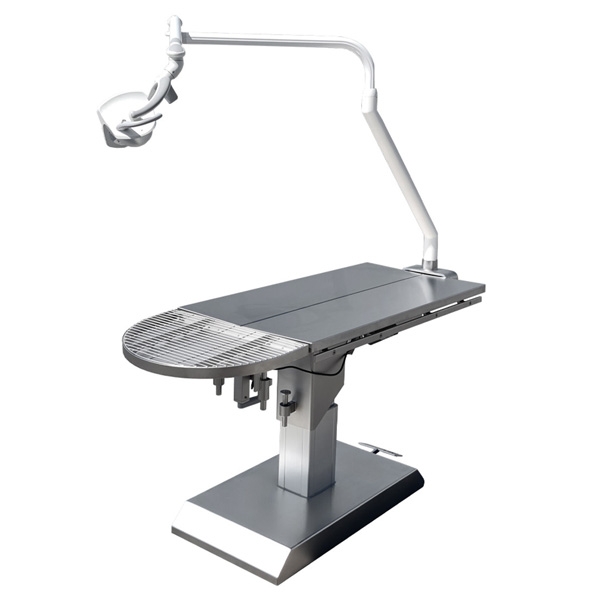 iM3 Dental light with bracket for Tara Table /st