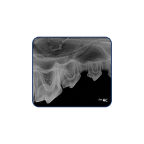 Bildplatta S4C, 4,8×5,4 cm