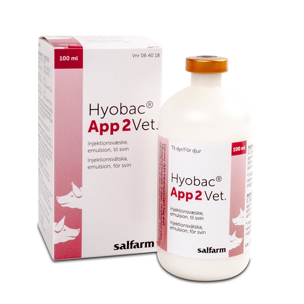 Hyobac App 2 Vet. 1 x 100 ml