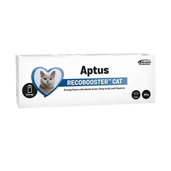 Aptus Recobooster Cat 60 g /st