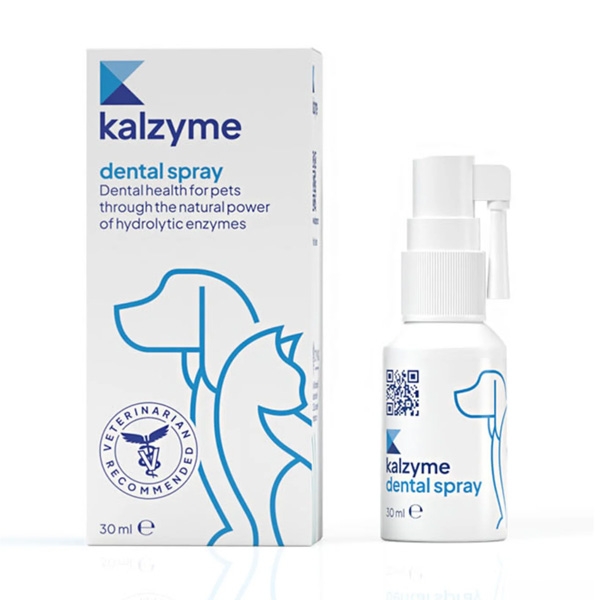 Kalzyme Dental Spray 30 ml /st