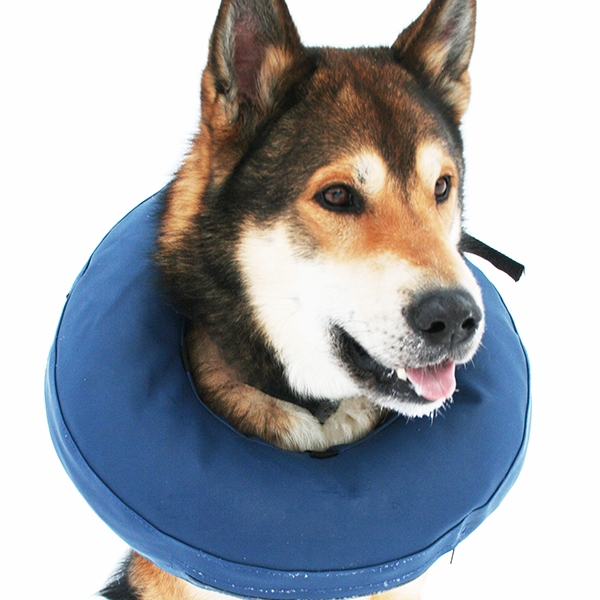 Hundekrage oppblåsbar nr 5 nakkemål 40-45 cm /stk
