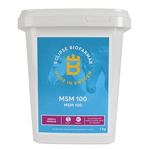 Eclipse Biofarmab MSM 100 1 kg /stk