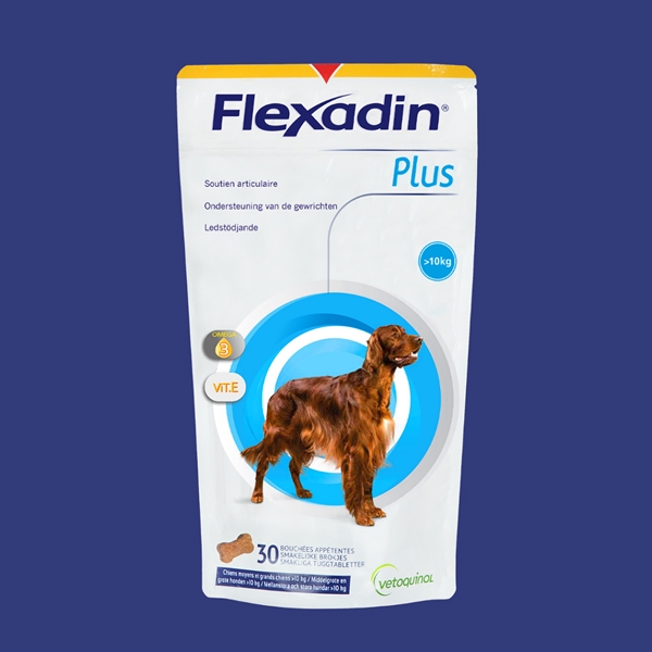 Flexadin Plus Maxi tyggetabletter /30