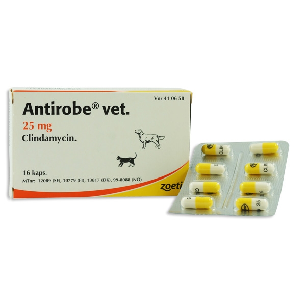 Antirobe® vet. 25 mg 16 styck