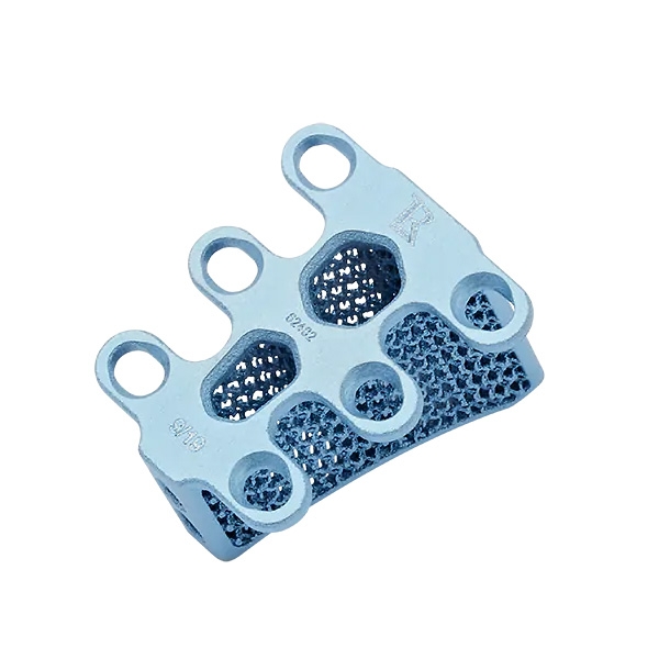 TTA Rapid cage 9/19 Titanium