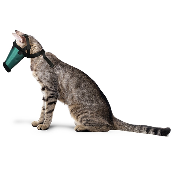 Munkorg katt med halsband stl 2 M /st