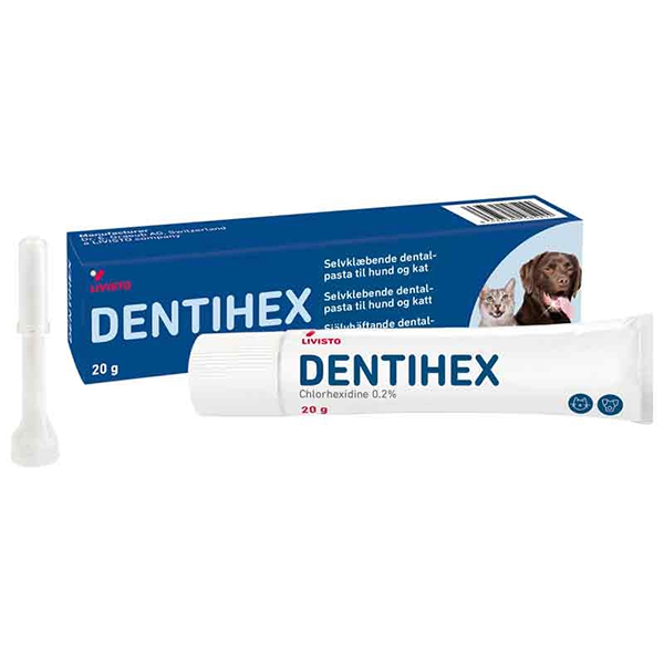 Dentihex tandpasta 20 gram /st