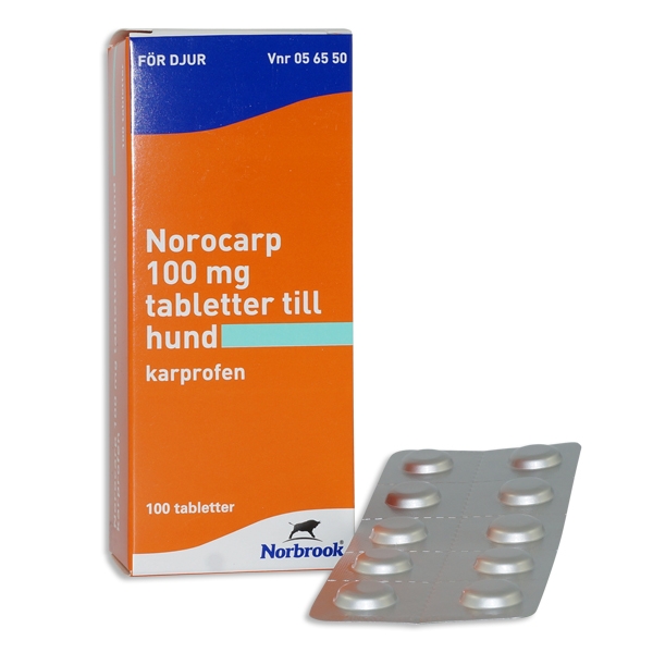 Norocarp 100 mg 100 st