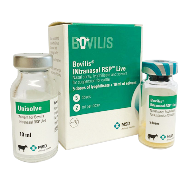 Bovilis RSP live vet. Nässpray 5 doser + 10 ml