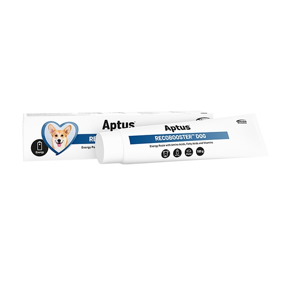 Aptus Recobooster Dog 100 g /stk