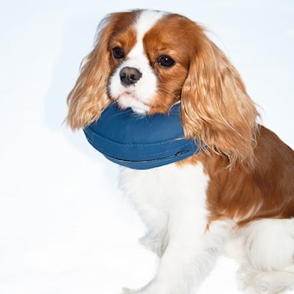Hundekrage oppblåsbar nr 1 nakkemål 14-18 cm /stk