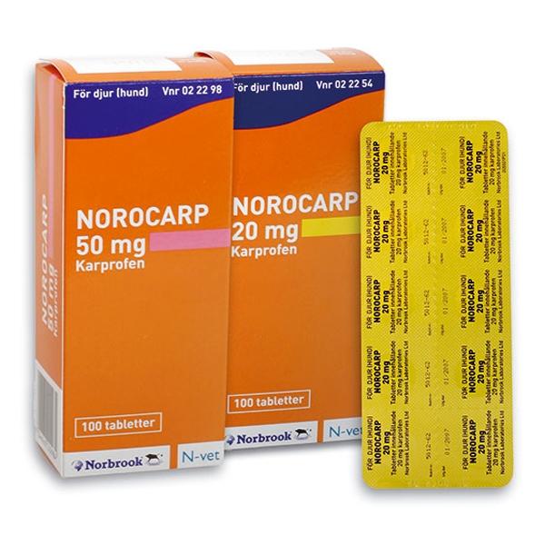 Norocarp 20 mg 100 st