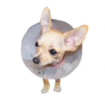 Hundekrage Polnet 7,5 cm /10