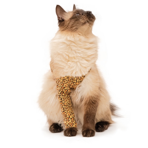 Medical Pet Shirt leopard forbensbeskytter XS /stk