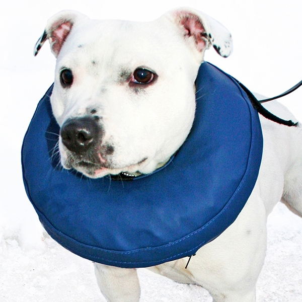 Hundkrage uppblåsbar nr 3 halsmått 24-31 cm /st