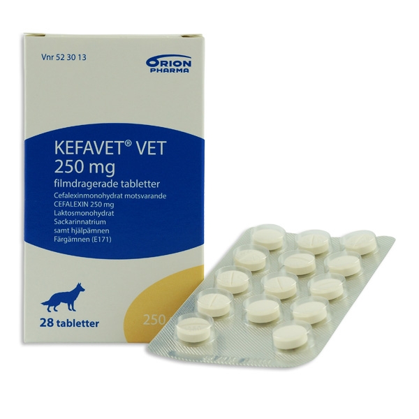 Kefavet® vet. 250 mg 28 st
