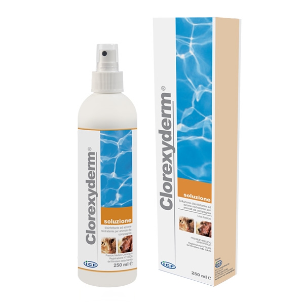 Clorexydermlösning Spray 200 ml  /st