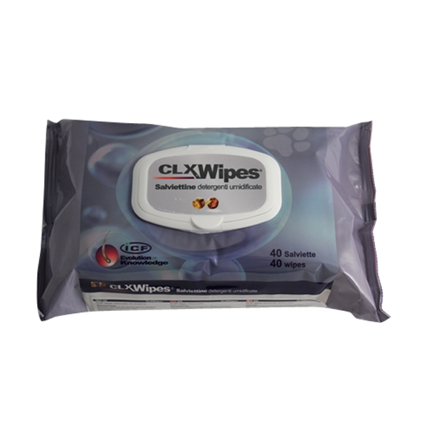 CLX Wet Wipes /40