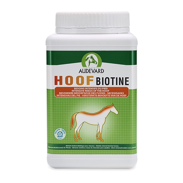 Hoof Biotine fodertillskott 1 kg /st