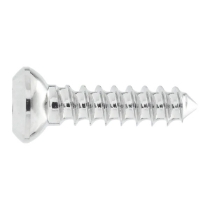 2,7 mm Cort Screw 12 mm Hex He