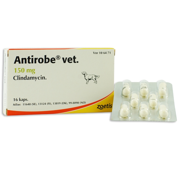 Antirobe® vet. 150 mg 16 styck