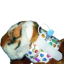 Kitty Kollar Tube Petite /stk