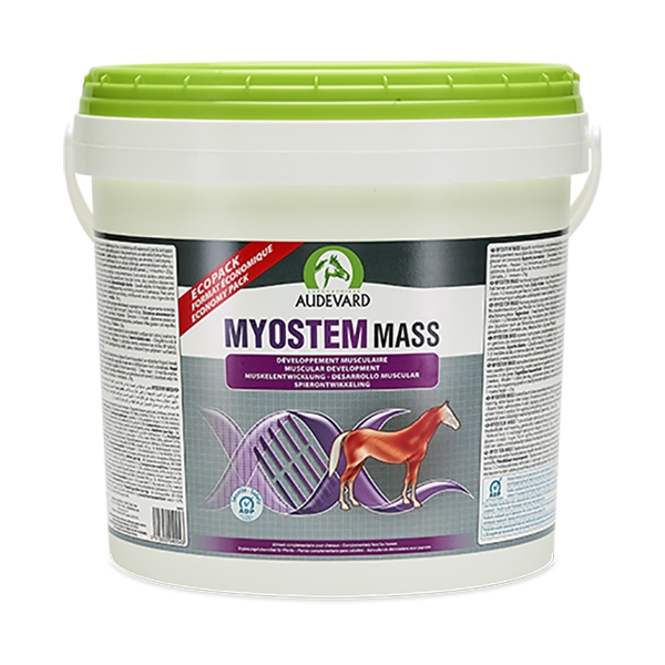 Myostem Mass muskeltillskott 6 kg /st