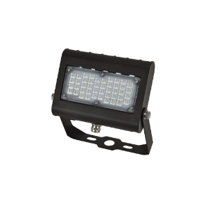 RAB Design FL2-LED31-B-5K-BRZ-YK
