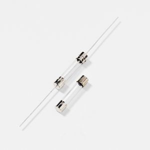 Littelfuse® 313004