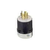 Leviton 2431